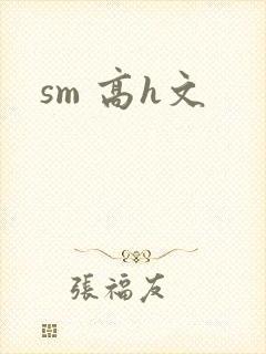 sm 高h文封面