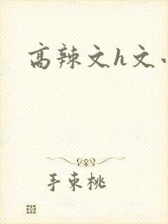 高辣文h文小说封面