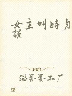 女主叫时月的小说
