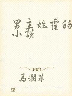 男主姓霍的总裁小说