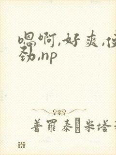 嗯啊,好爽,使劲,np