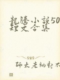 龙腾小说500短文合集