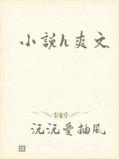 小说h爽文