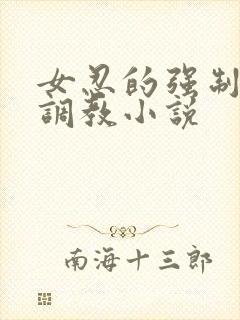 女忍的强制高潮调教小说