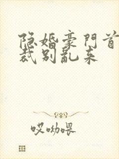 隐婚豪门首席总裁别乱来