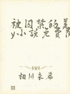 被囚禁的美人by小说免费阅读封面