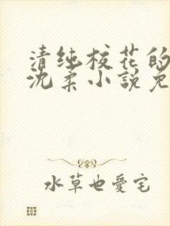 清纯校花的日常沈柔小说免费阅读