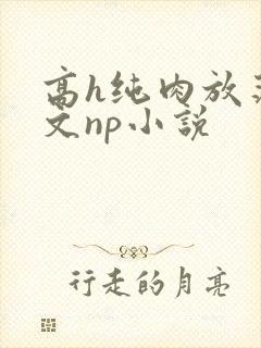 高h纯肉放荡h文np小说