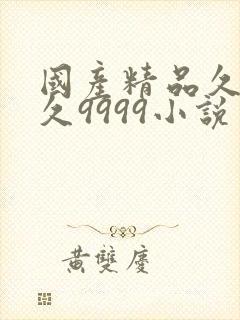 国产精品久久久久9999小说