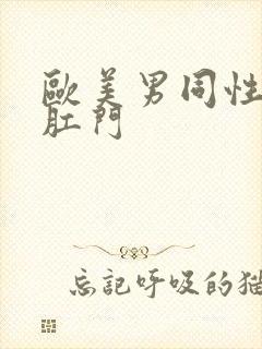 欧美男同性恋操肛门