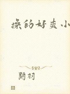 操的好爽小说