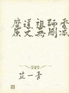 魔道祖师香炉篇原文无删减封面