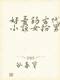 好看的古代gl小说女扮男装