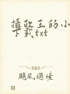 摄政王的小闲妻下载txt