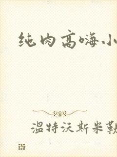纯肉高嗨小说