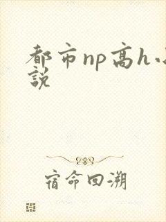 都市np高h小说