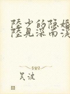 陆少的隐婚罪妻陆见深南溪