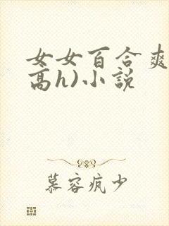女女百合爽文(高h)小说封面