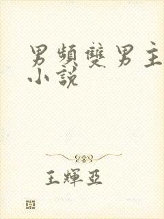 男频双男主玄幻小说封面