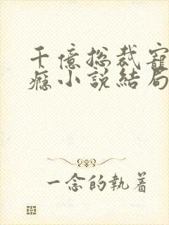 千亿总裁宠妻成瘾小说结局封面