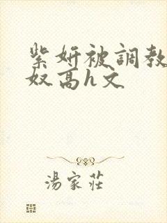 紫妍被调教成肉奴高h文封面