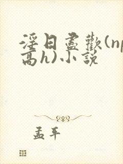 淫日尽欢(np高h)小说