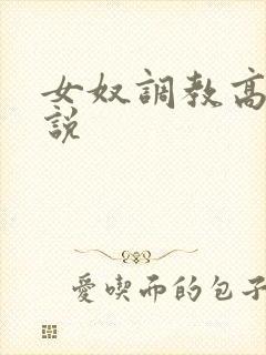 女奴调教高h小说