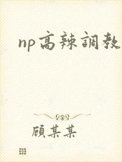 np高辣调教文
