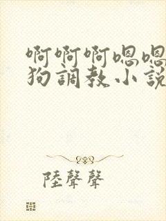 啊啊啊嗯嗯嗯母狗调教小说封面