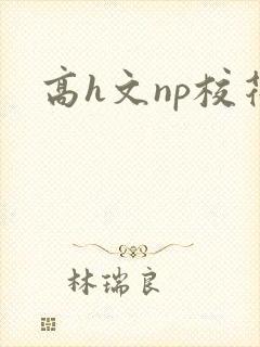 高h文np校花