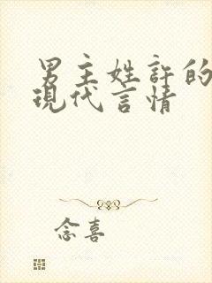 男主姓许的小说现代言情封面