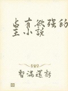 占有欲强的双男主小说