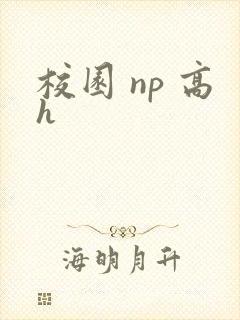 校园 np 高h