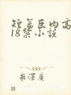 短篇巨肉高h文18禁小说