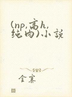 (np,高h,纯肉)小说