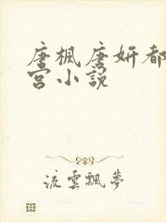 唐枫唐妍都市后宫小说