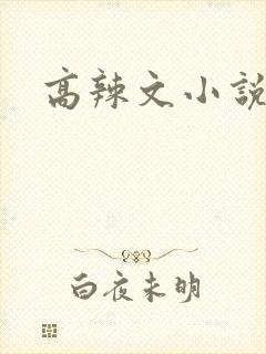 高辣文小说h文