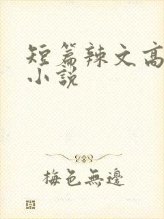 短篇辣文高h文小说