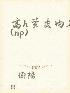 高h荤爽肉欲文(np)
