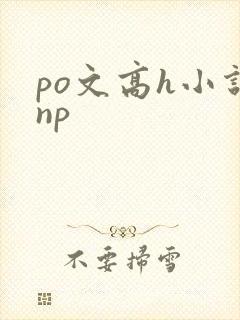 po文高h小说np