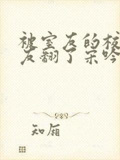 被室友的校草男友翻了宋吟荆辰小说封面