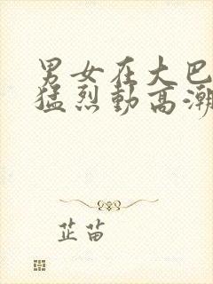 男女在大巴做爰猛烈动高潮小说