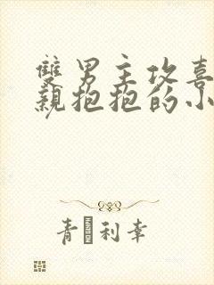 双男主攻喜欢亲亲抱抱的小说封面