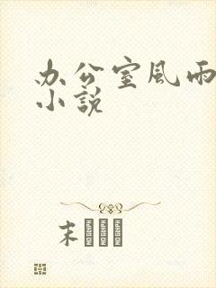 办公室风雨完整小说