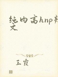 纯肉高hnp辣文