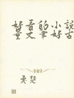 好看的小说高质量文笔好古言