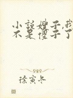 小说嫂子,我真不是傻子了免费阅读