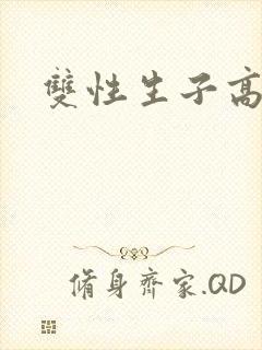 双性生子高h文