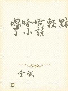 嗯哈啊轻点太快了小说