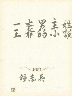 一本男主姓萧是王爷的小说